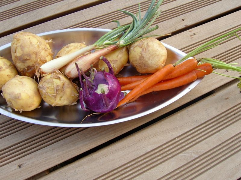 Légumes Primeurs chou rave violet carottes échalottes nouvelles