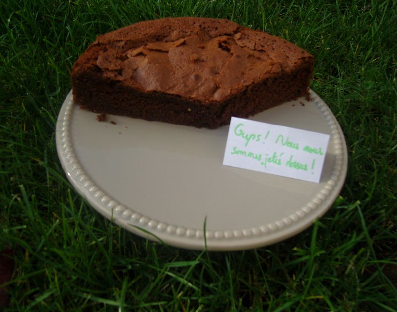 Gâteau au Chocolat de Brigitte V2