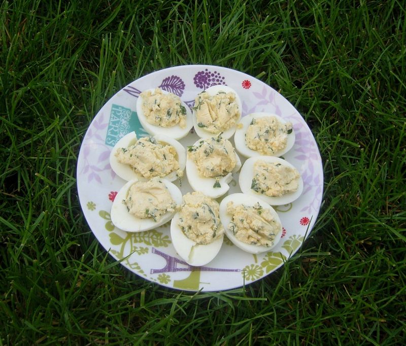 Oeufs au Chèvre Frais