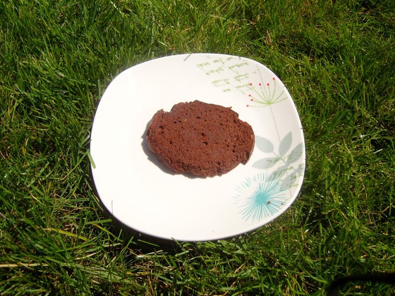 Gâteau au chocolat light et bon 0%de complexe