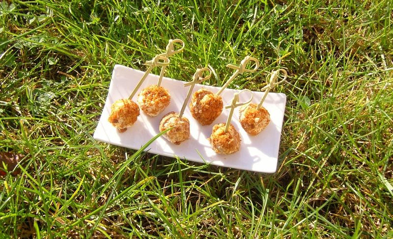 Boulettes Chèvre Abricot Pain d'épices