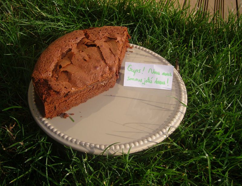 Gâteau au Chocolat de Brigitte