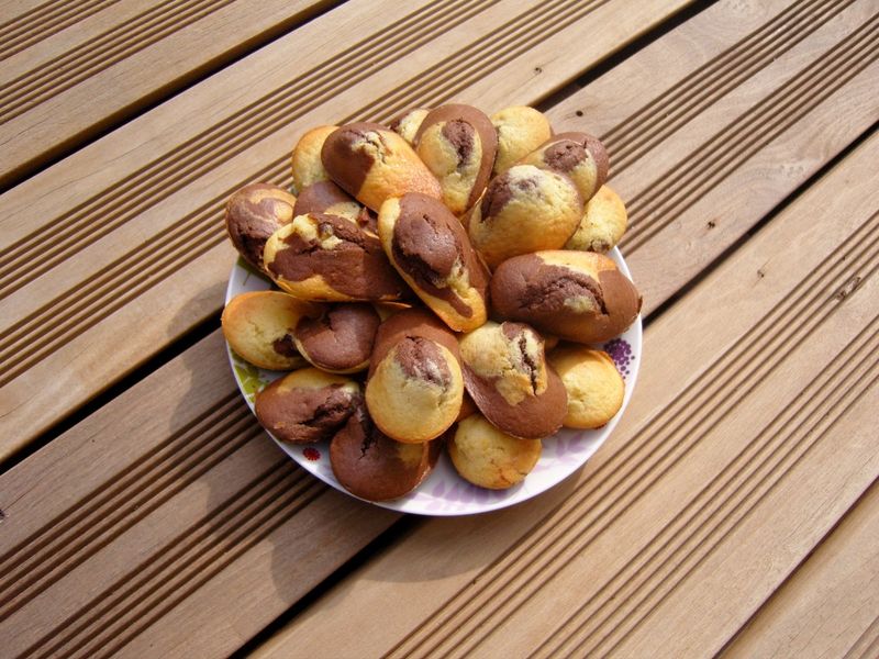 Madeleines Marbrées