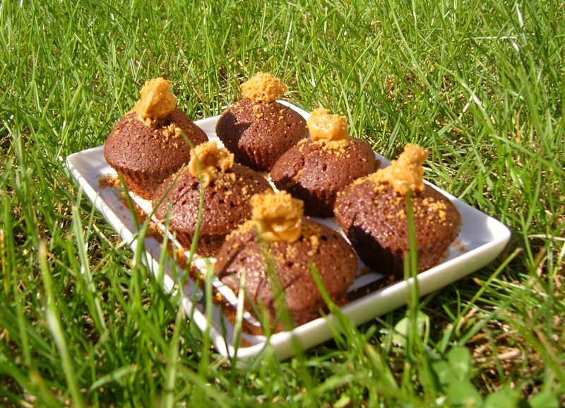 Cupcake Chocolat Speculoos V1