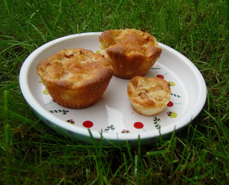 Muffins Poire Vanille