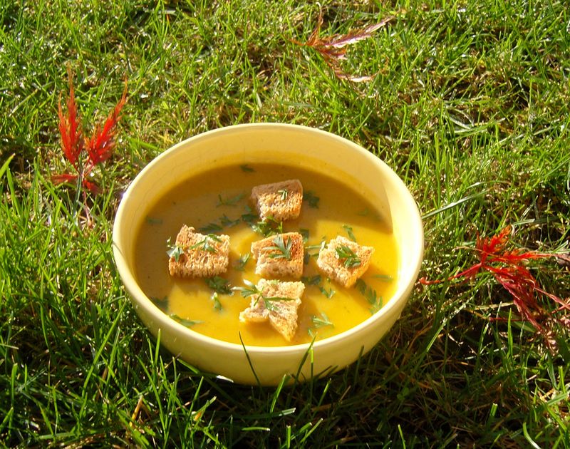 Soupe de Carottes avec ses fanes et ses croutons