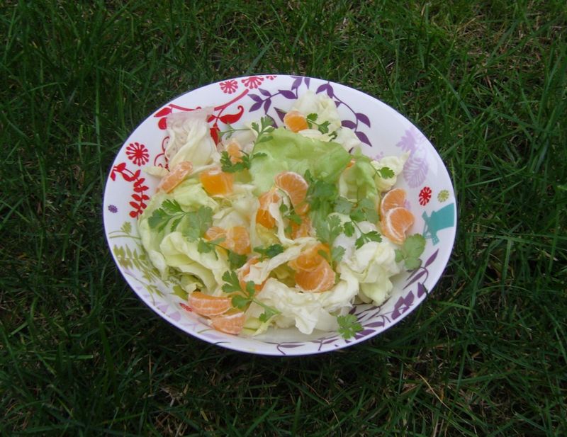 Salade Laitue Mandarine Coriandre