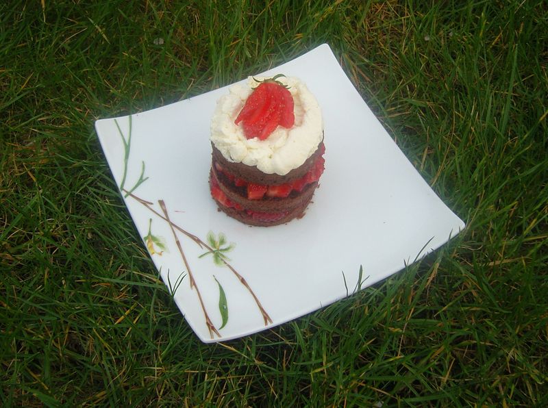 Layer cake Chocolat Fraise