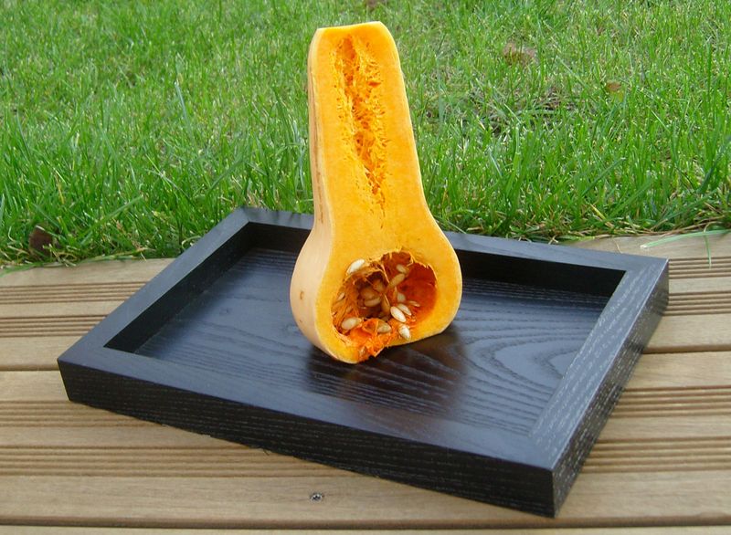 Courge musquée Butternut squash pumpkin