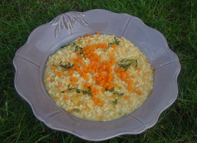 Risotto de Potiron Benoit Witz Alain DucasseV3