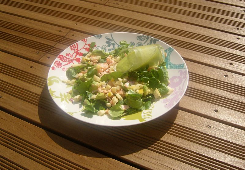 Salade Surprise de Cresson au Saumon et Sa Sauce Verte