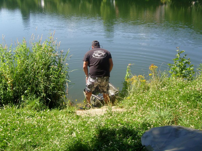 Les étangs de Corot Carpe pêchée remise a l'eau