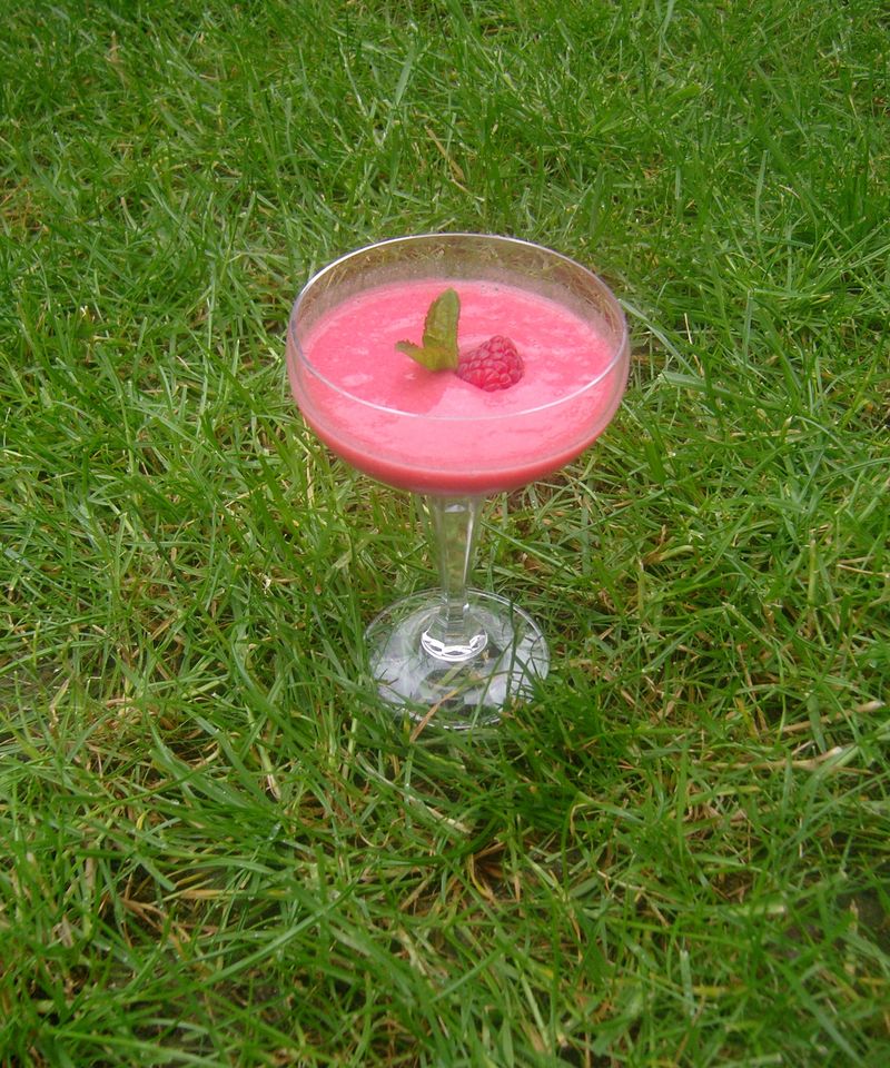 Smoothie Fruits Rouges avec ou sans Vodka - Apéritif pour grands et petits