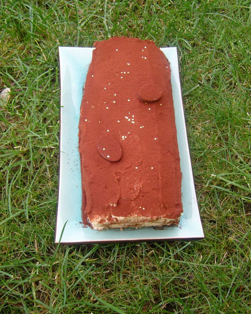 Buche Tiramisu